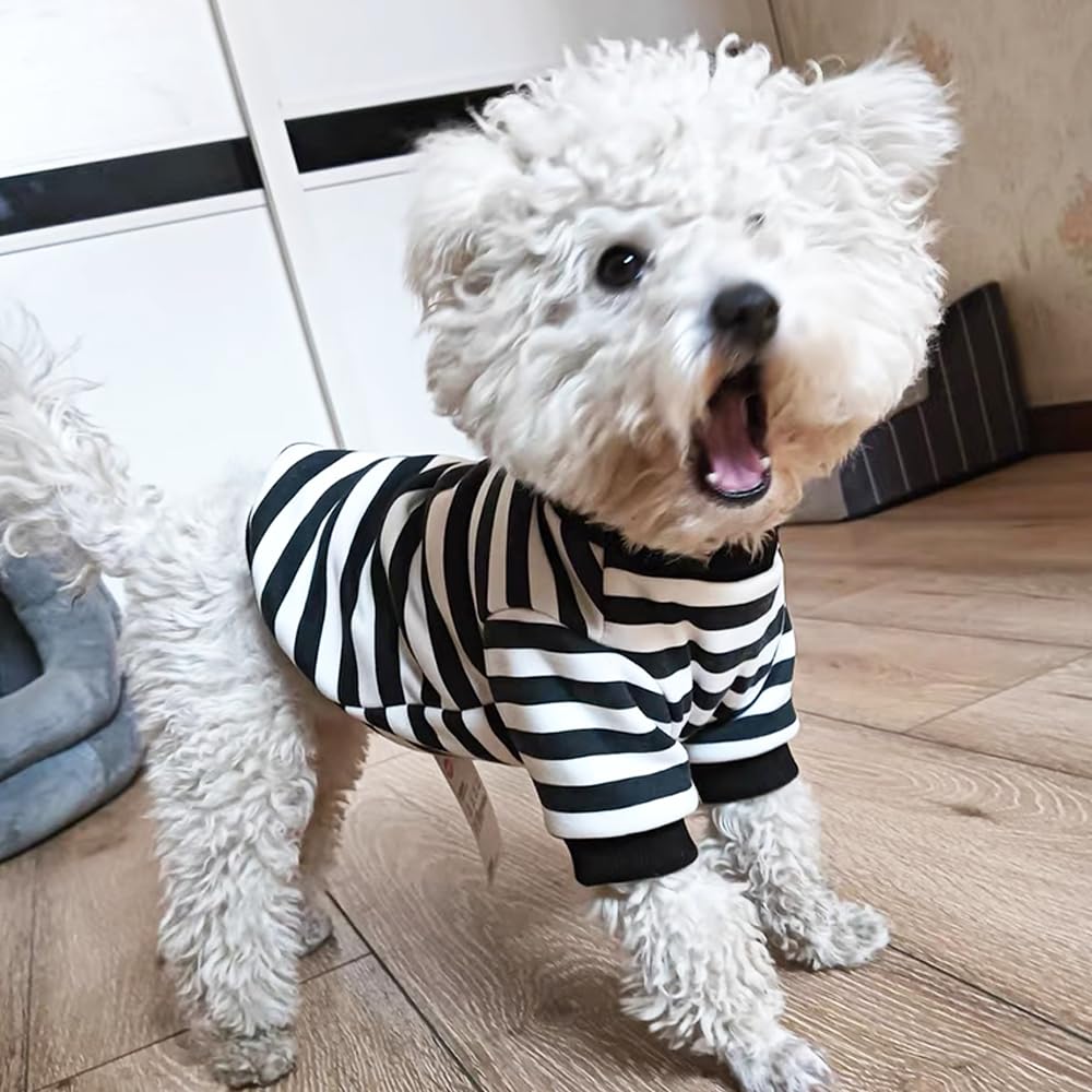 Anelekor sudadera, material suave y cálido, confort diario para tu mascota.