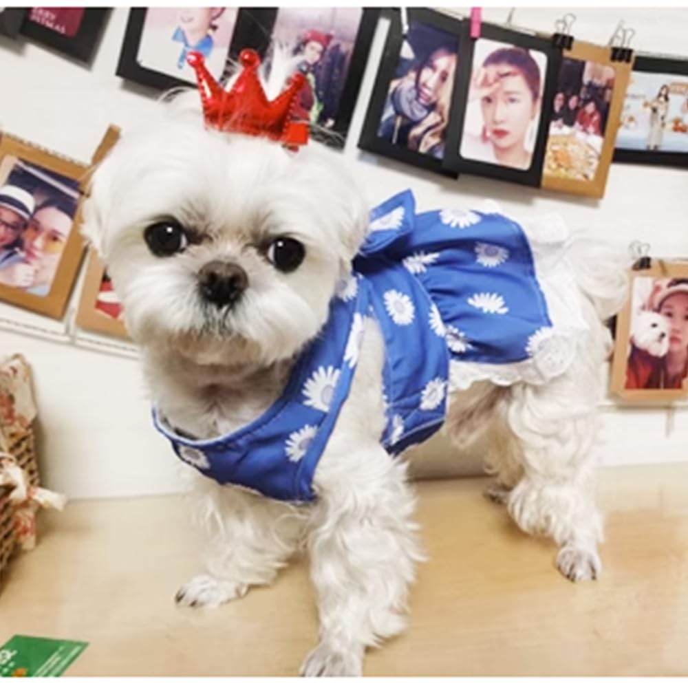 Anelekor talla S, medidas para un ajuste estable en mascotas pequeñas.