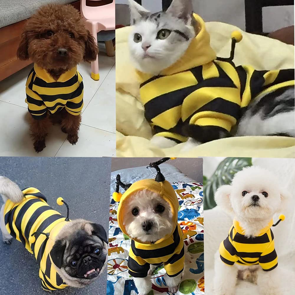 Anelekor felpa suave, tacto cálido para perros pequeños.