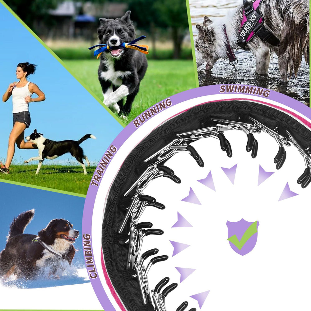Anglevate Martingale: ajuste de 360 grados para un calce cómodo