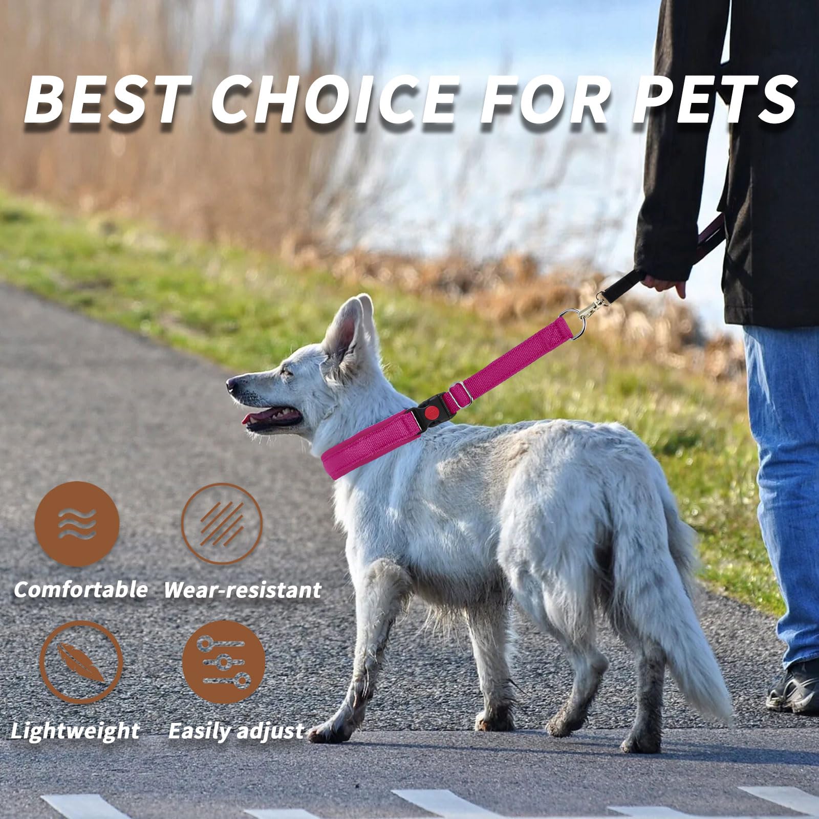 Anglevate collar martingale para entrenamiento y paseo diario