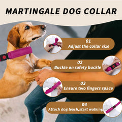 Anglevate collar martingale reflectante para mayor visibilidad nocturna