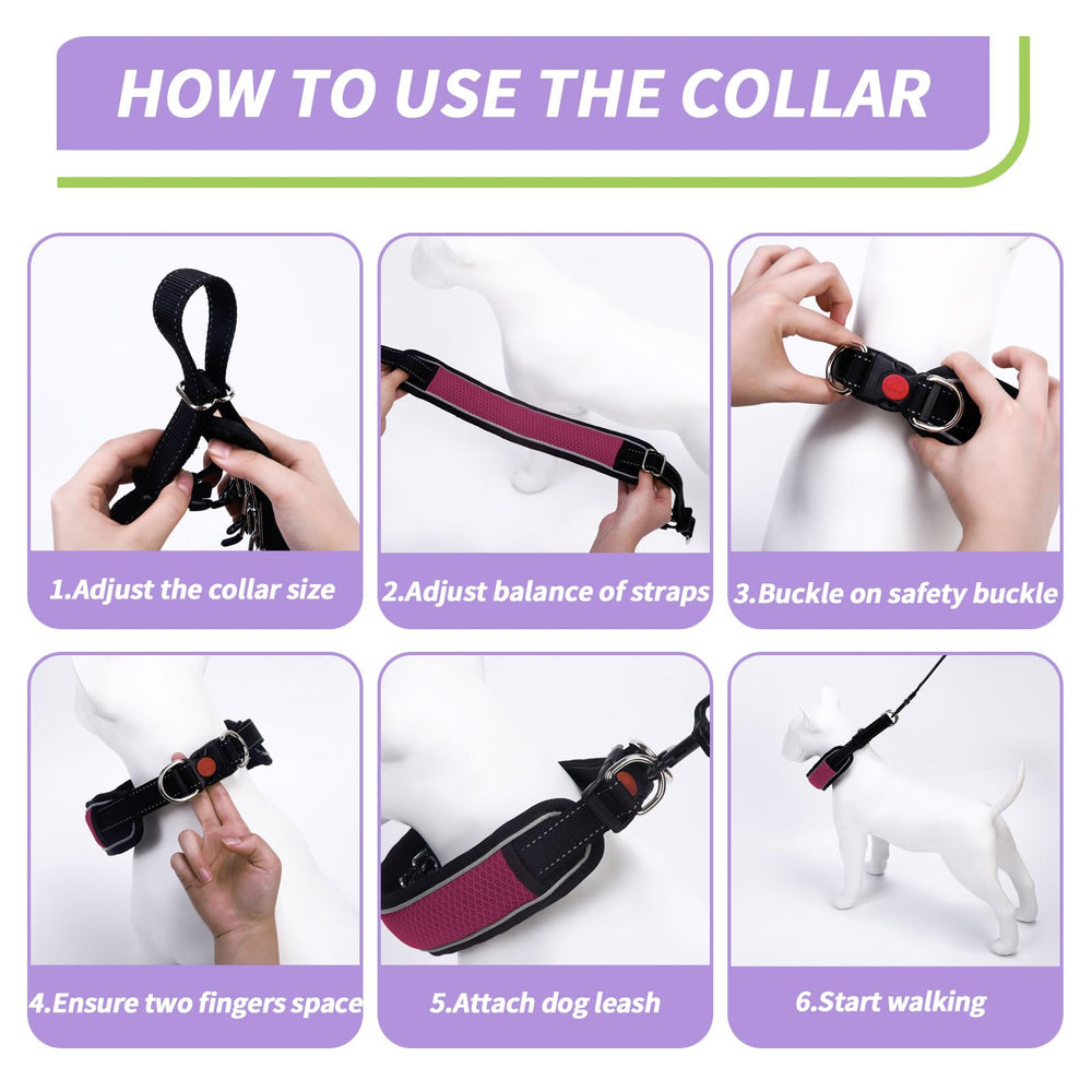 Collar martingale Anglevate con cadena interna de acero inoxidable para estabilidad