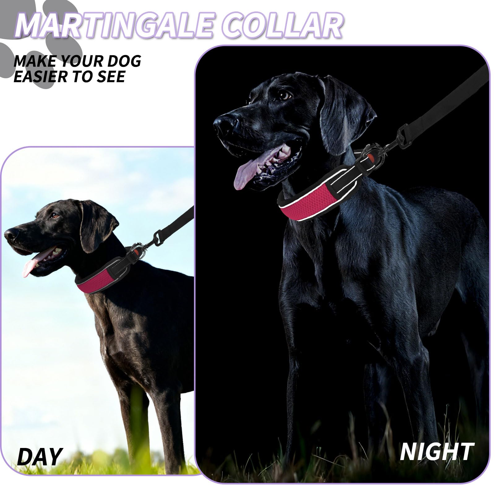 Collar Anglevate para paseos y entrenamiento en perros grandes