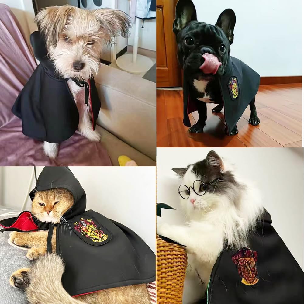 Conjunto completo AniAC mago para perros y gatos, perfecto para fiestas.