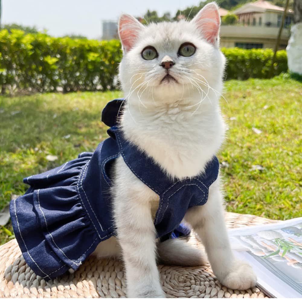 ANIAC vestido-denim-dorsal con anilla en D facilita paseos seguros.