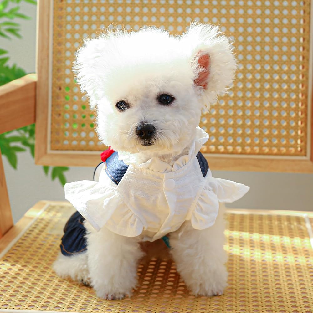 ANIAC vestido denim verano cómodo para perros pequeños activos