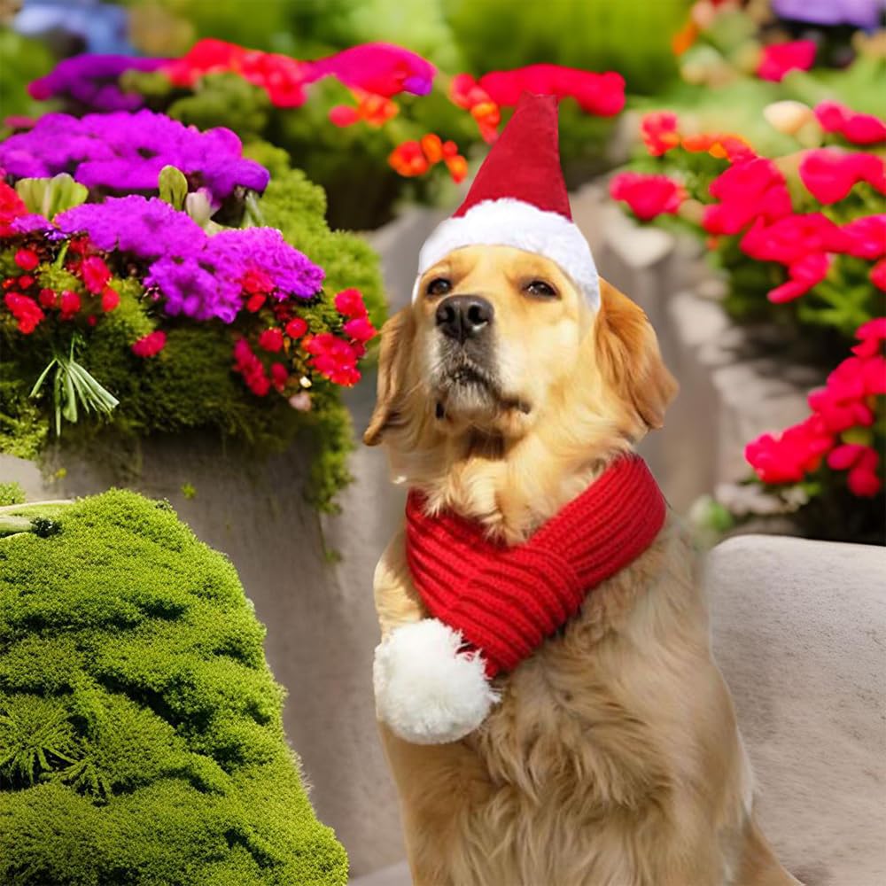 ANIAC regalo navidad para perro, outfit destacado en celebraciones