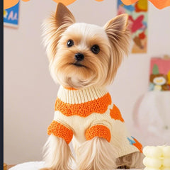 ANIAC sudadera para perro pequeño con cuello alto naranja, cómodo para paseos diarios.
