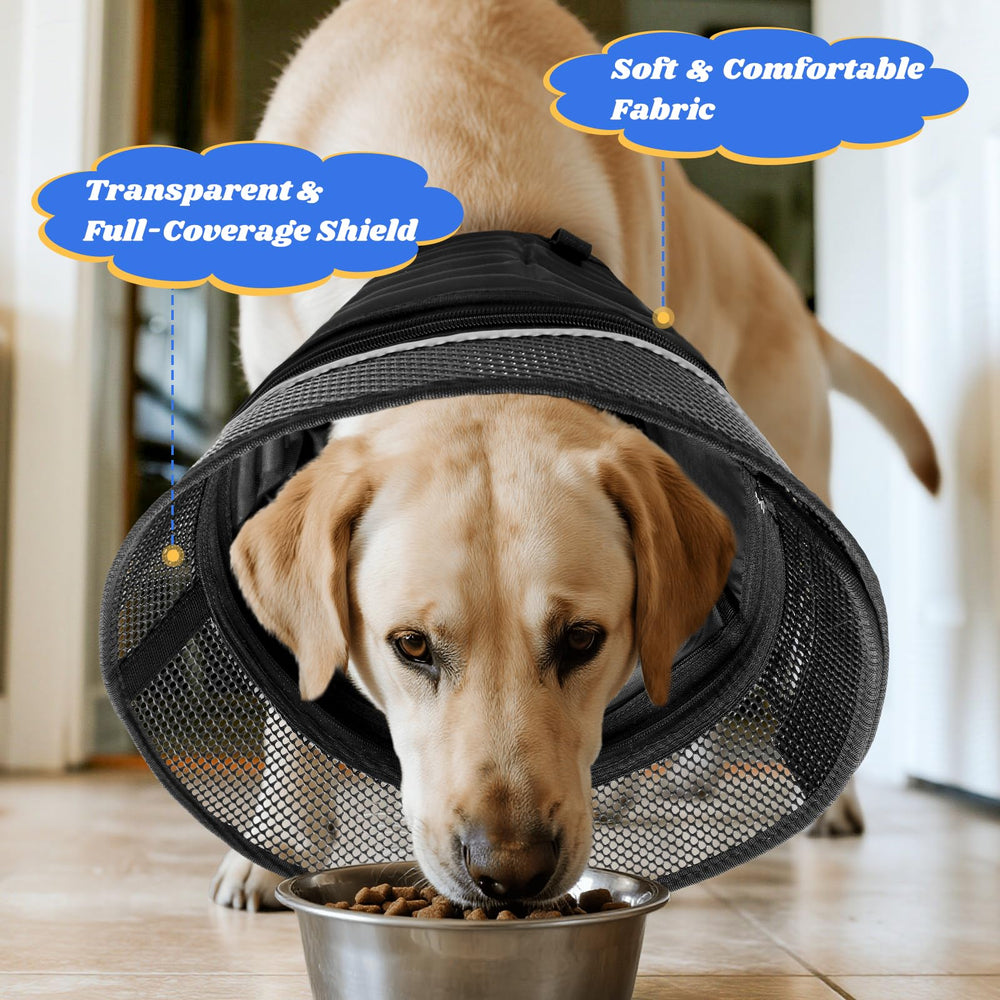 Hebillas de seguridad de AnimaCure evitan que el cono se retire.