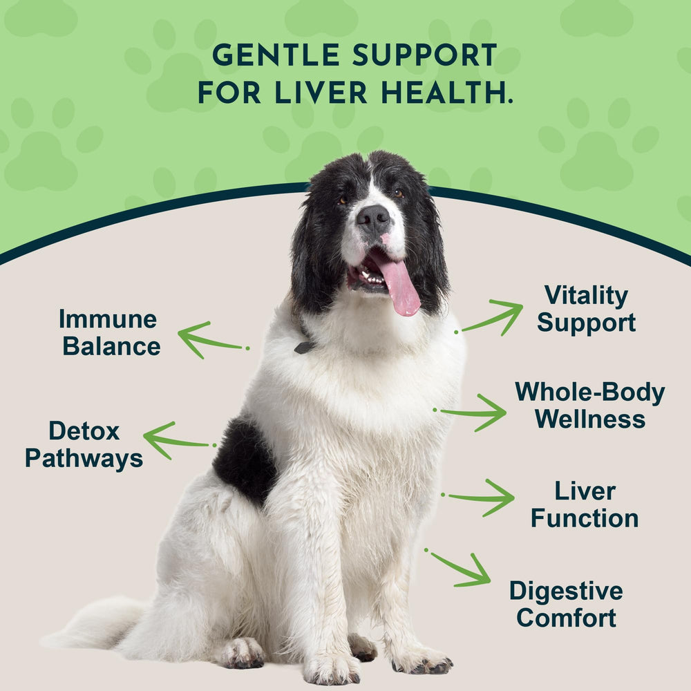Cuenta-gotas del Liver Defense para dosificar con precisión en perros y gatos.