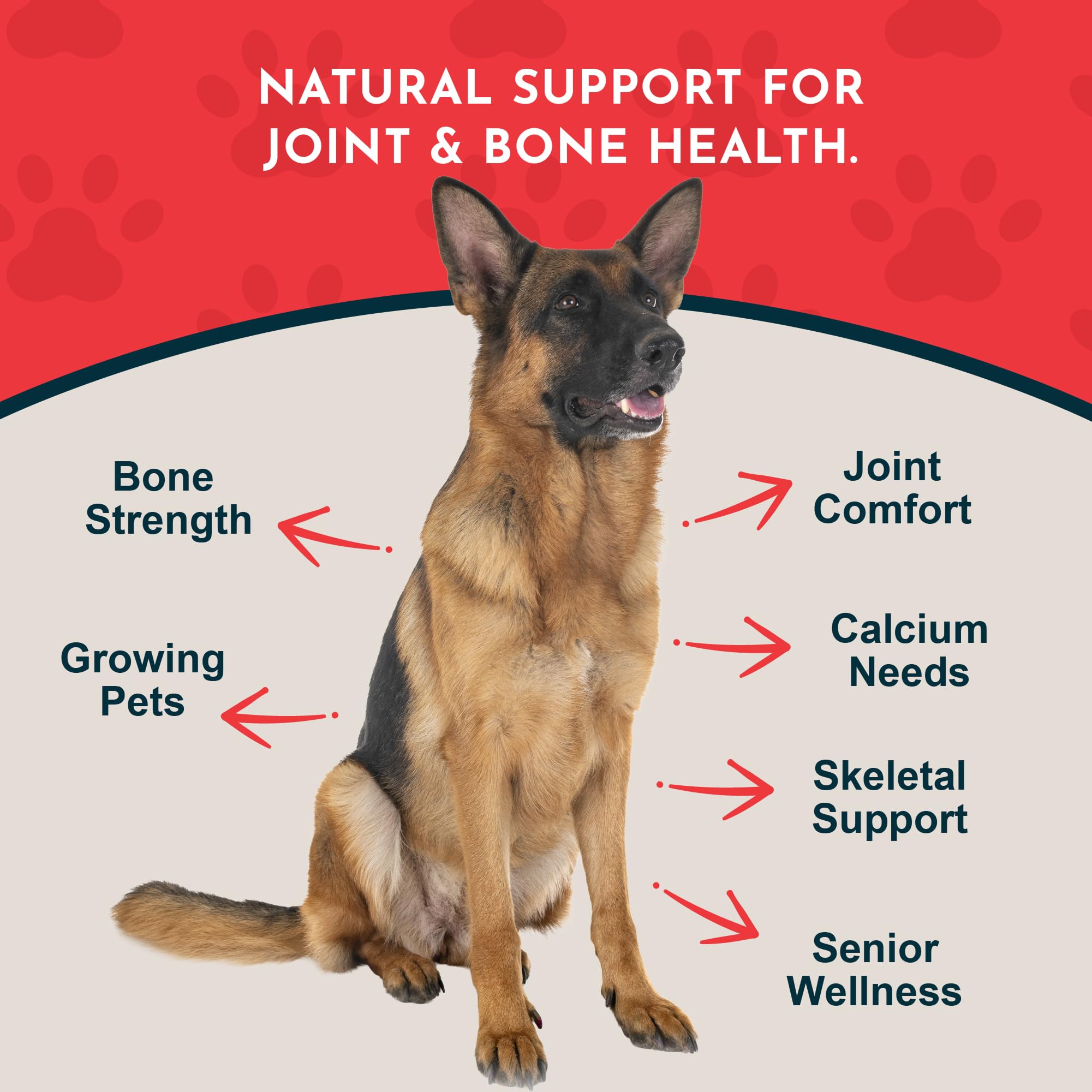 Animal Essentials Sea-Cal calcio magnesio para absorción óptima en perros y gatos.