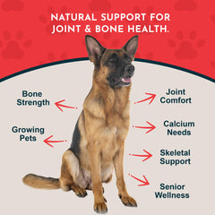Animal Essentials Sea-Cal calcio magnesio para absorción óptima en perros y gatos.