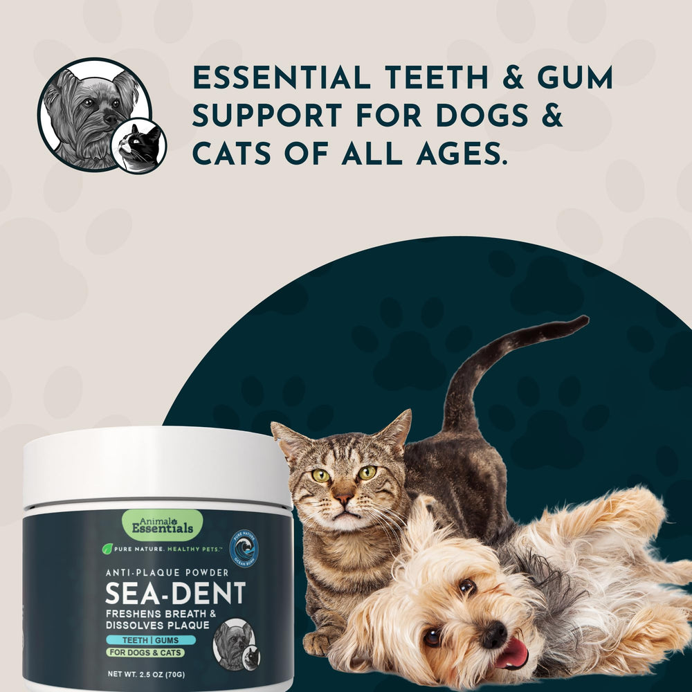 Animal Essentials Sea-Dent envase de 2.5 onzas fácil de almacenar