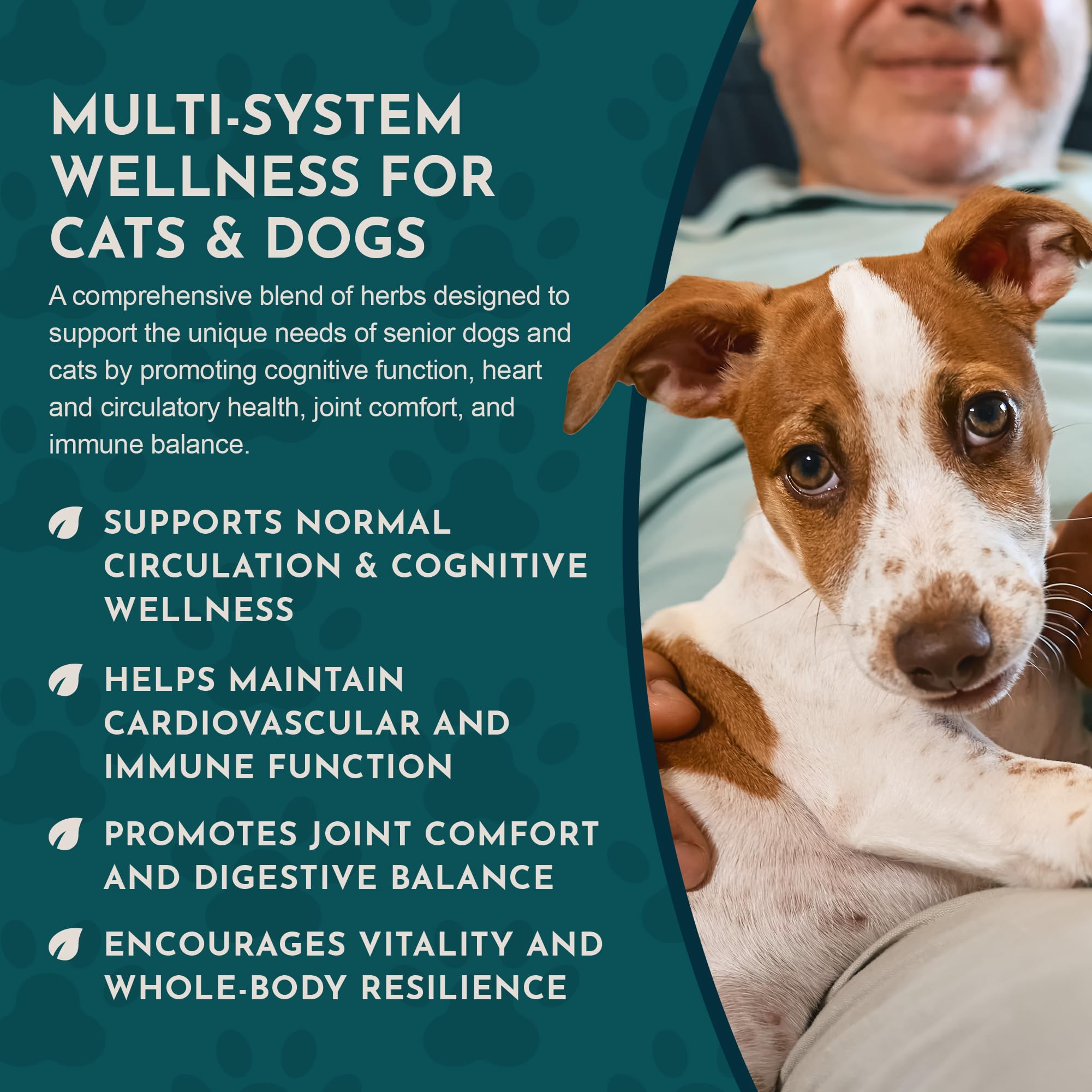 Animal Essentials Senior Support cardo mariano extracto para apoyo natural.