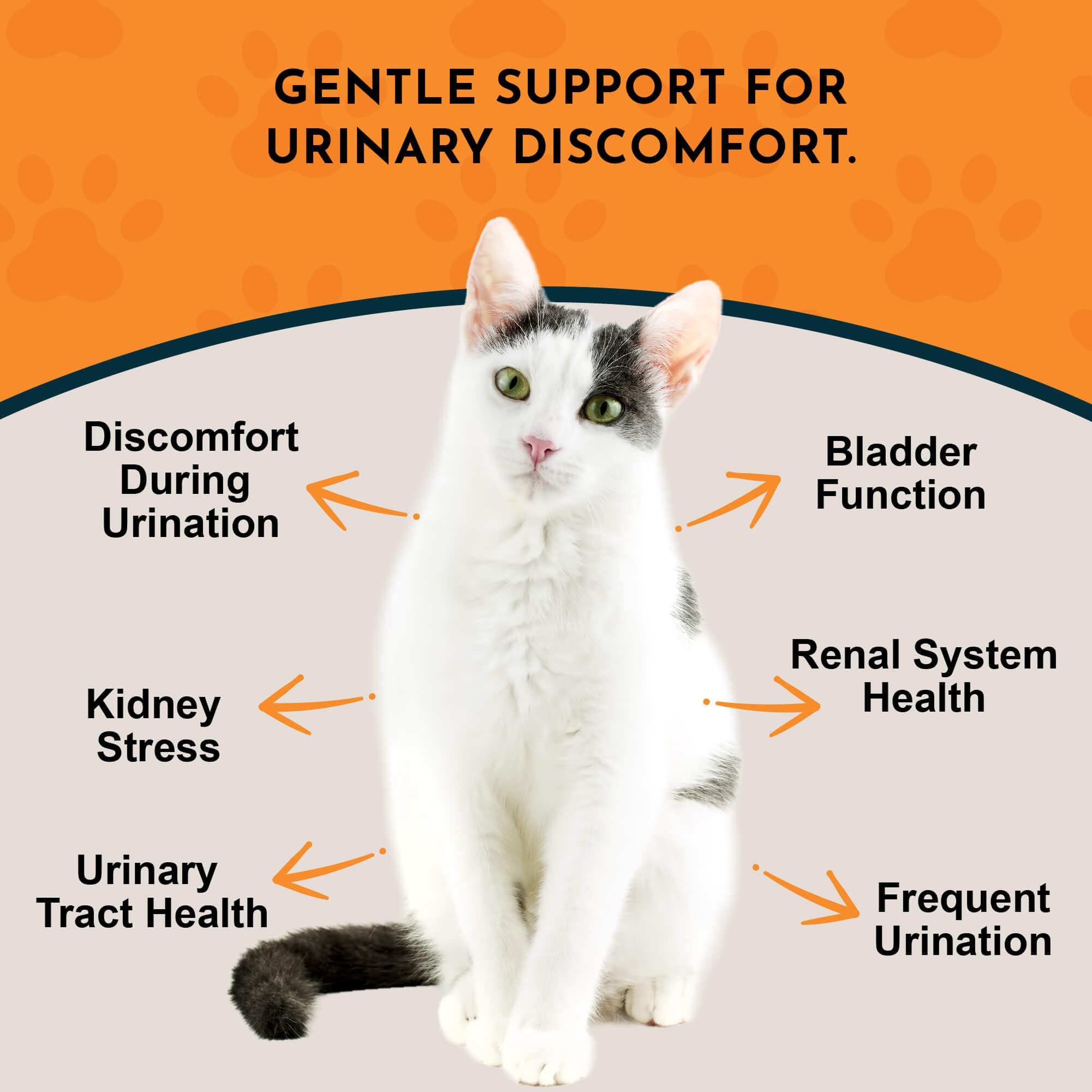 Animal Essentials Tinkle Tonic, gotero, facilita dosis para tracto urinario saludable.