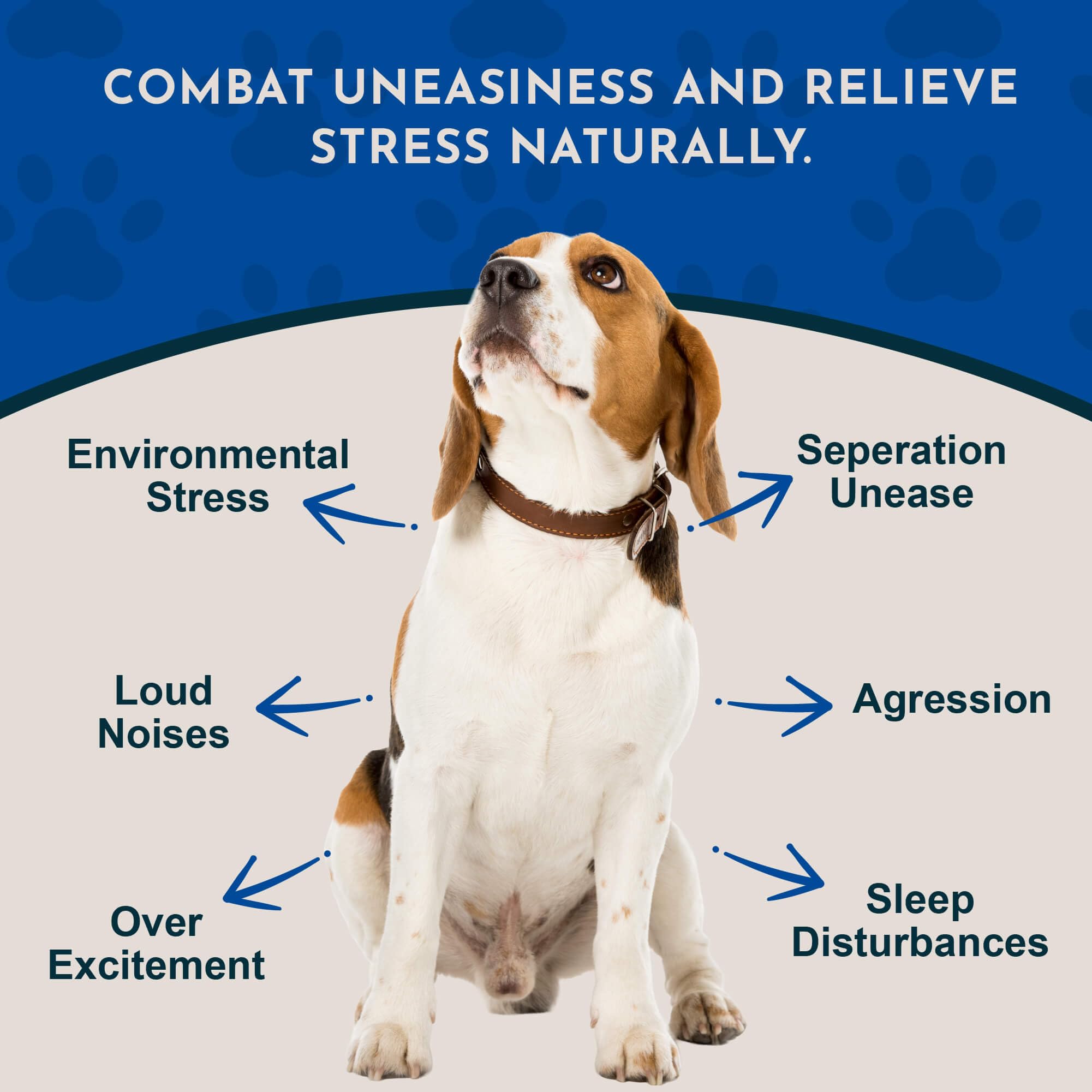 Animal Essentials Tranquility Blend, cuentagotas graduado para dosis precisa.