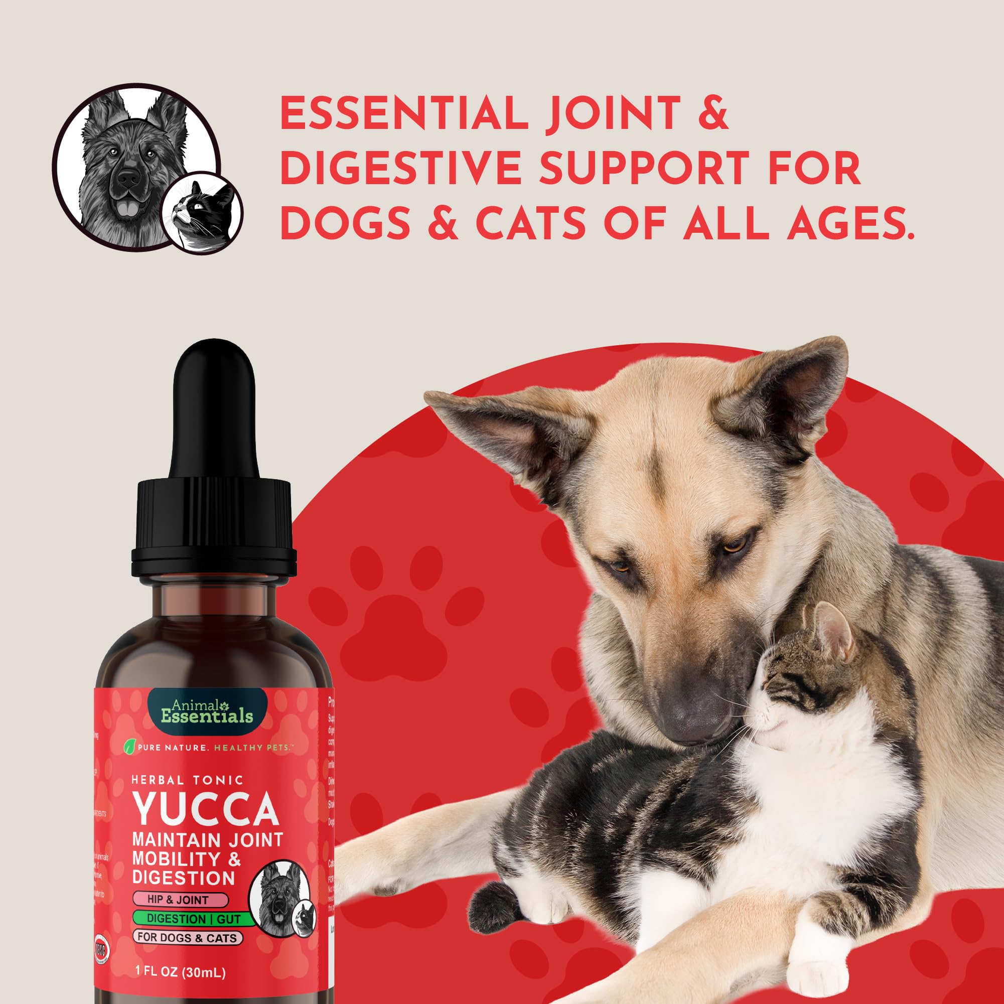 Animal Essentials Yucca soporte articular: mejora posible de movilidad durante actividad.