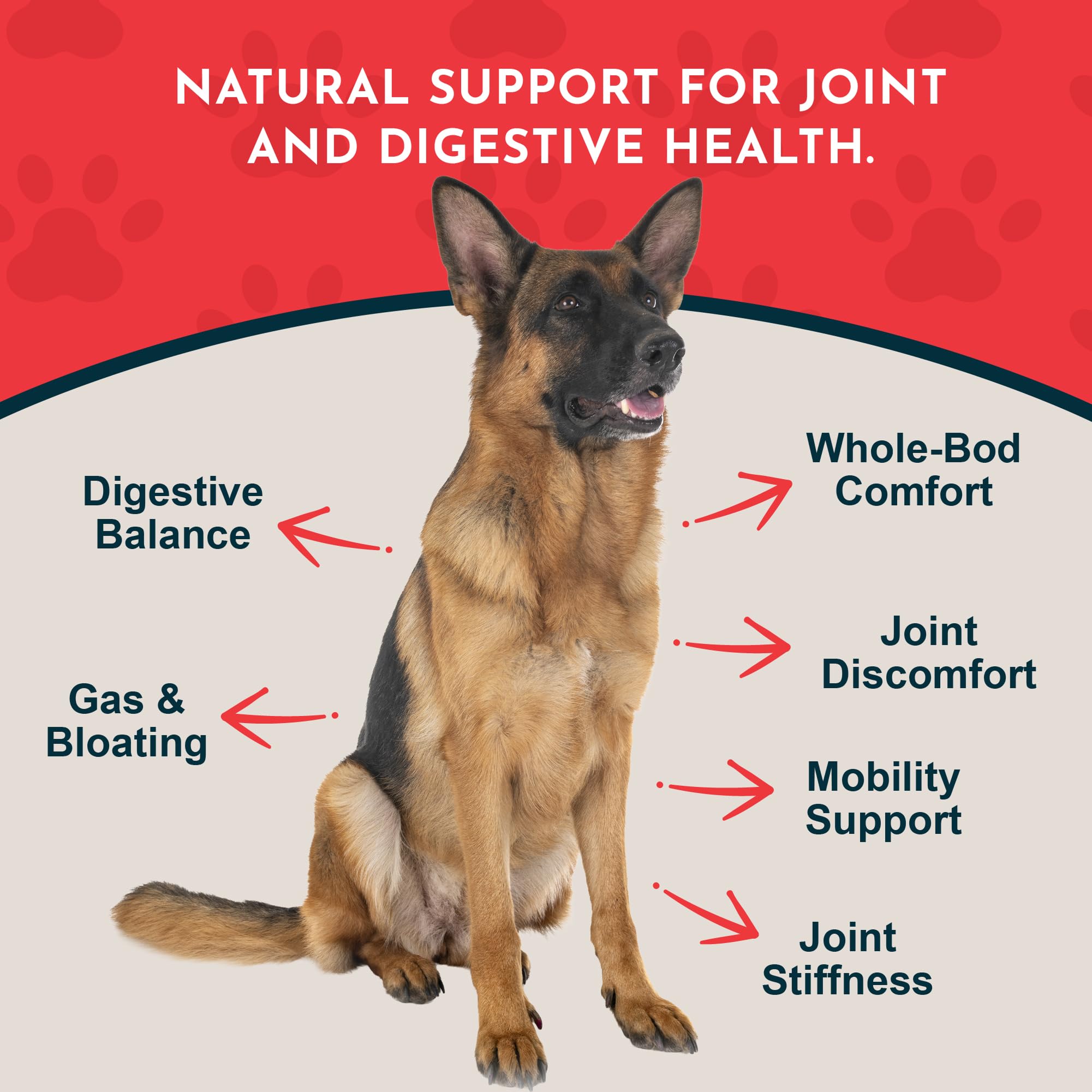 Animal Essentials Yucca uso diario: suplemento líquido suave para digestión.