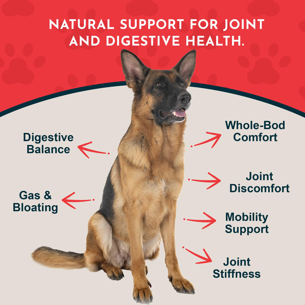 Animal Essentials Yucca uso diario: suplemento líquido suave para digestión.