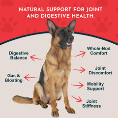 Animal Essentials Yucca uso diario: suplemento líquido suave para digestión.