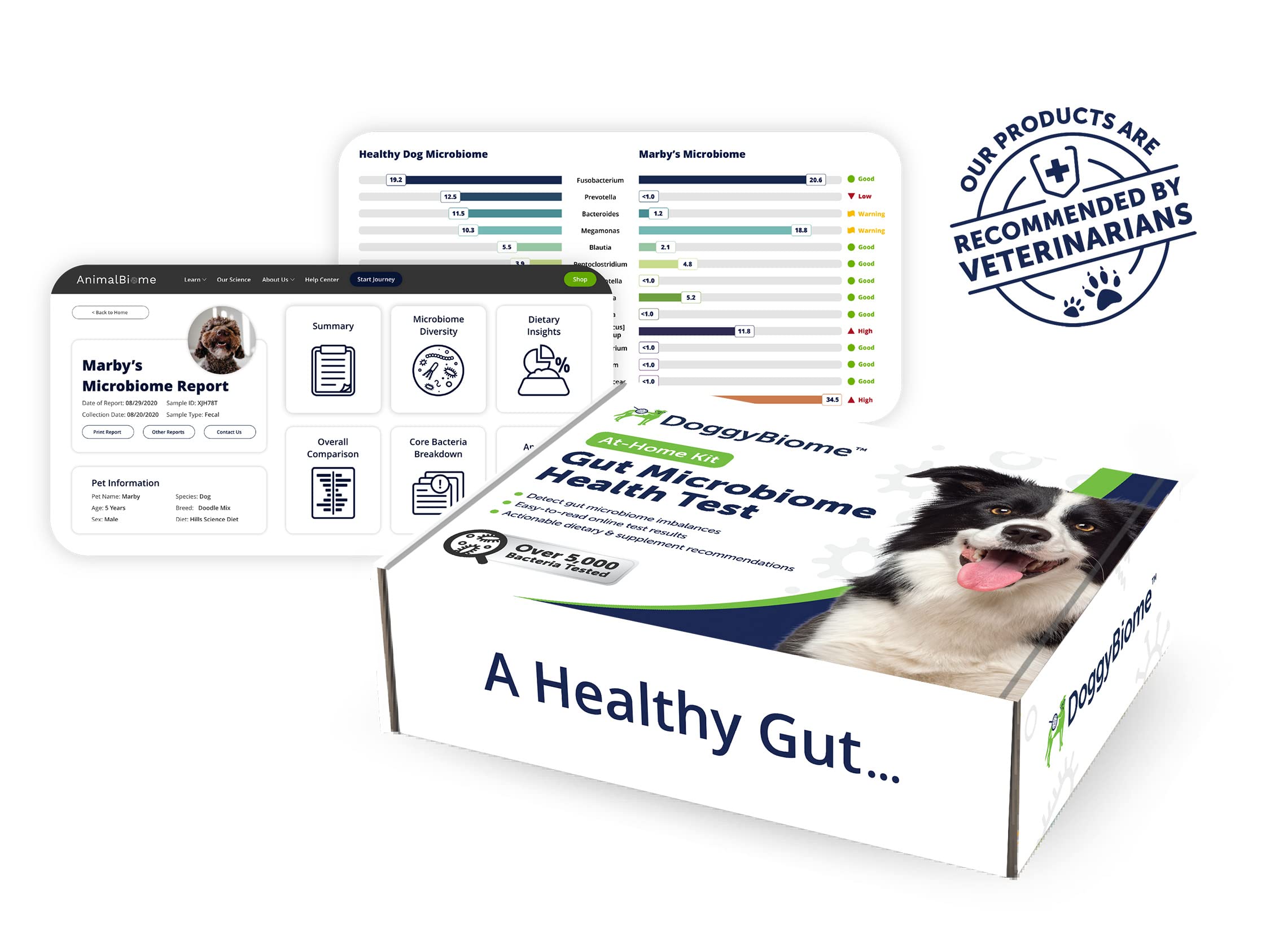 AnimalBiome DoggyBiome: asesoría personalizada para interpretar el informe de microbioma