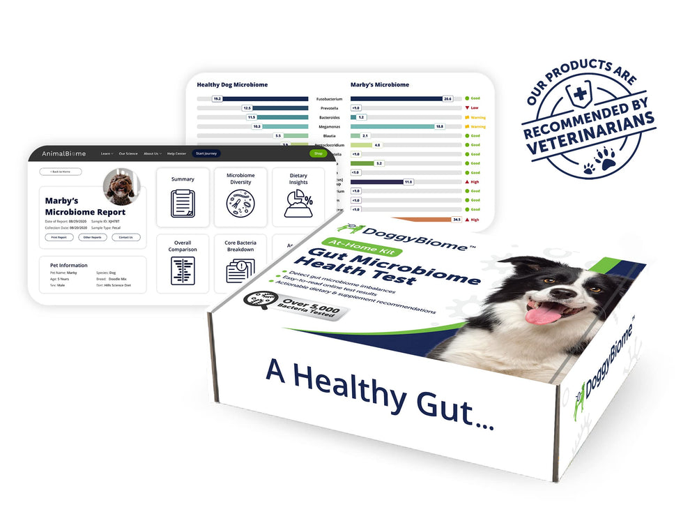 AnimalBiome DoggyBiome: asesoría personalizada para interpretar el informe de microbioma