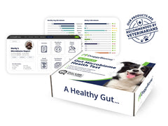 AnimalBiome DoggyBiome: asesoría personalizada para interpretar el informe de microbioma