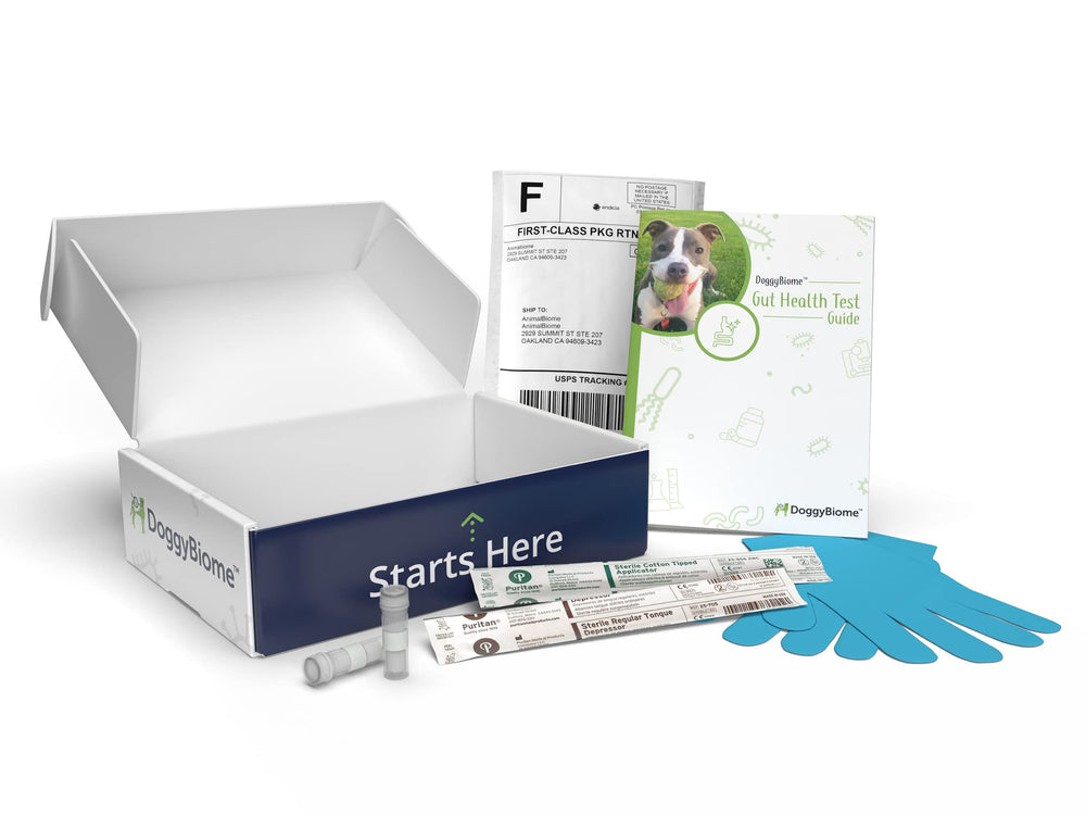 AnimalBiome DoggyBiome: resultados en dos semanas para entender la salud intestinal
