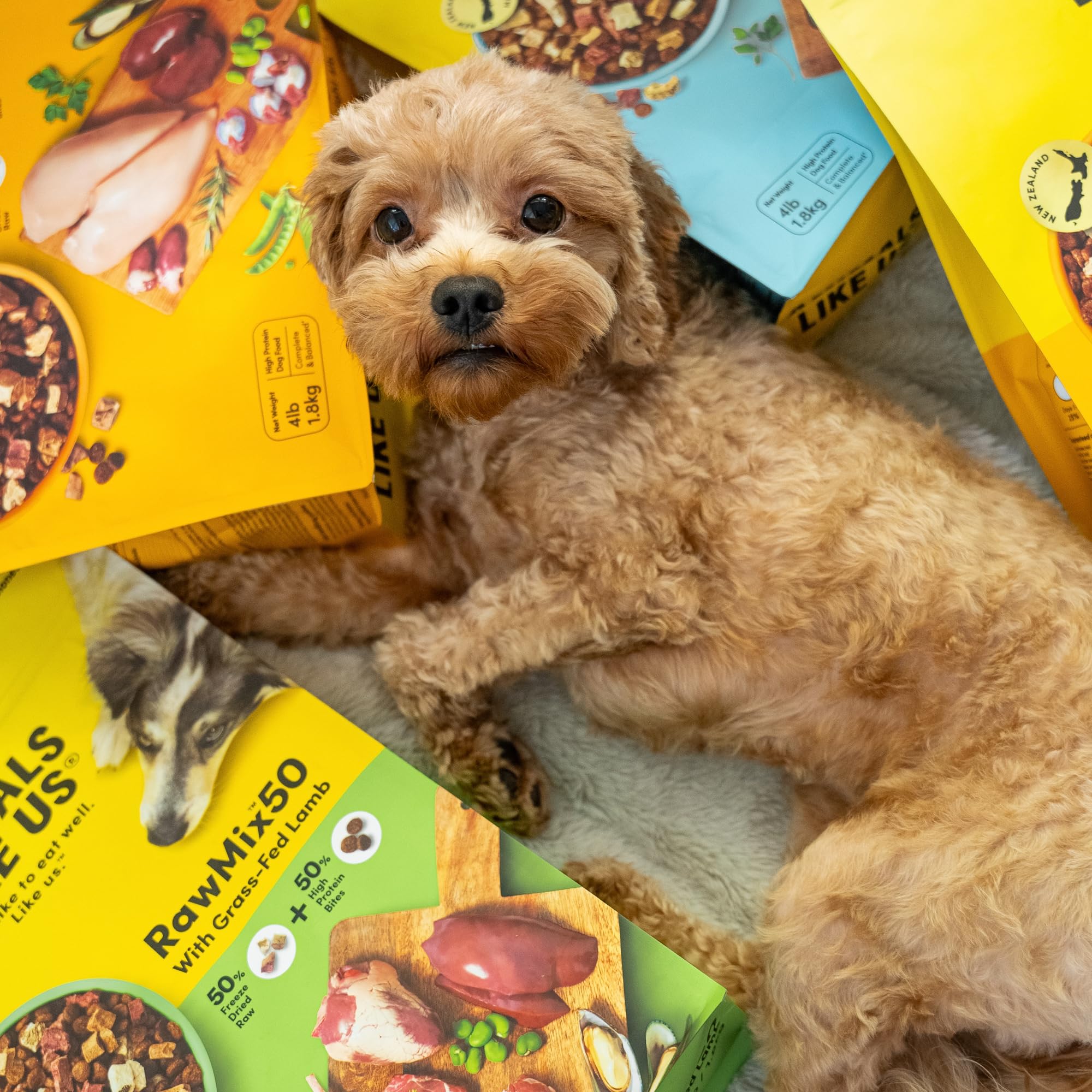 Animals Like Us RawMix50: con croquetas incluidas para una experiencia completa