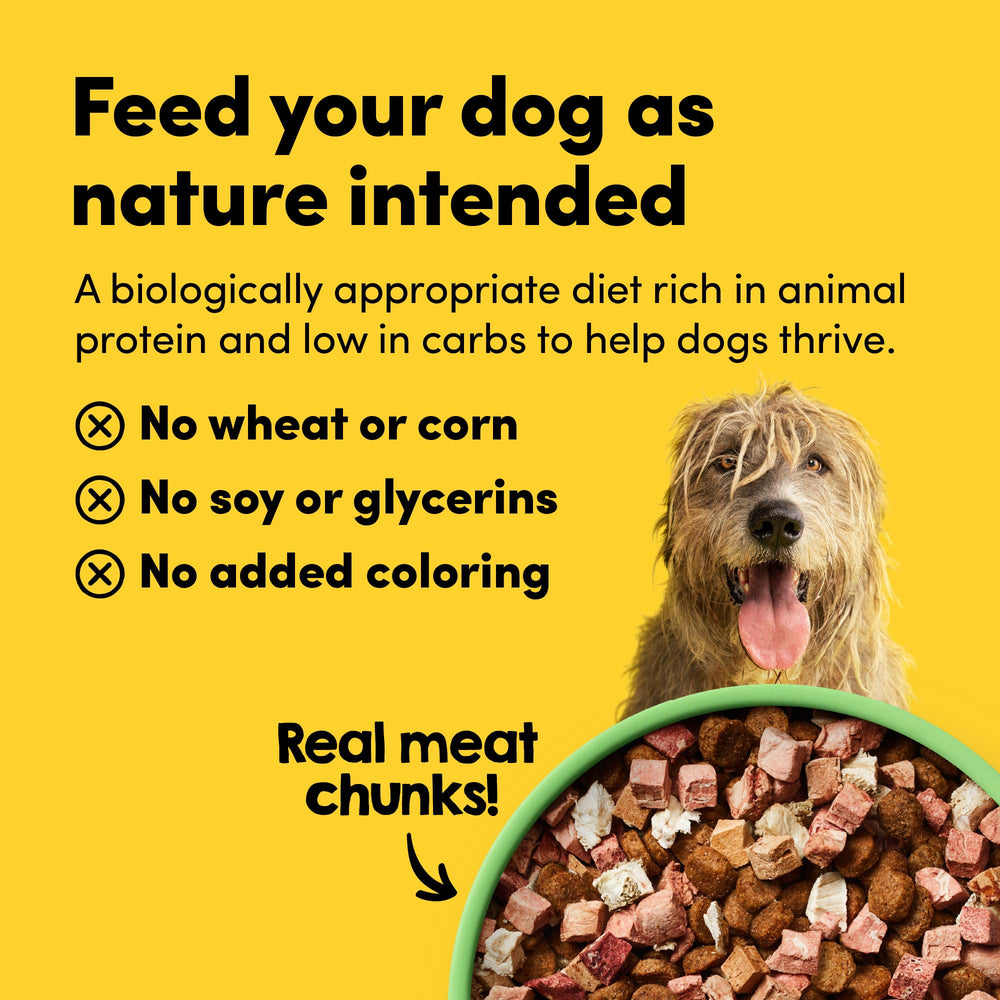 Animals Like Us RawMix50: opción sin granos para perros sensibles o con dieta especial.
