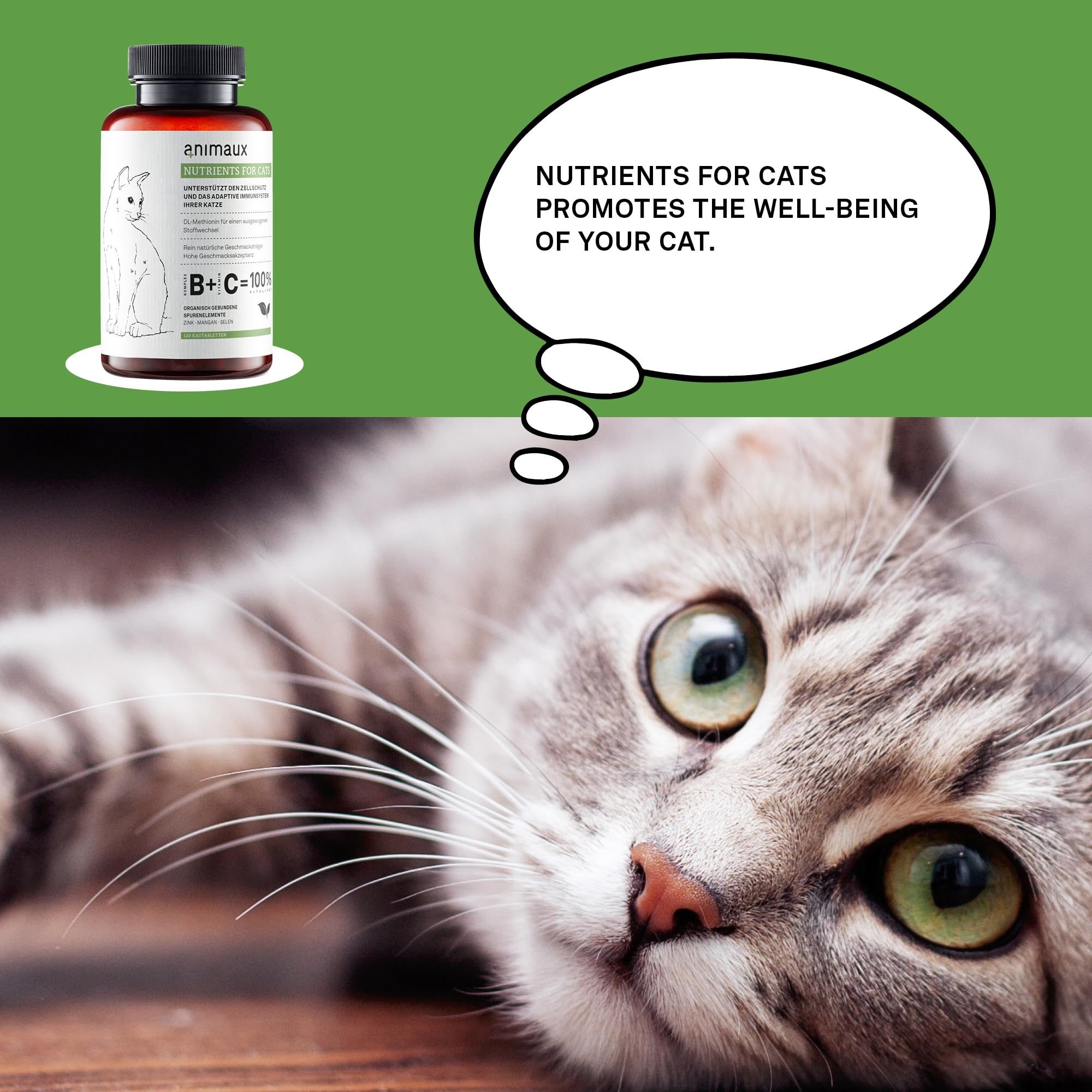 Animaux sabor natural sin gluten ni aditivos artificiales.
