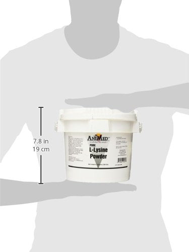 AniMed L-Lisina para caballos, mezcla en alimento para apoyar la proteína diaria