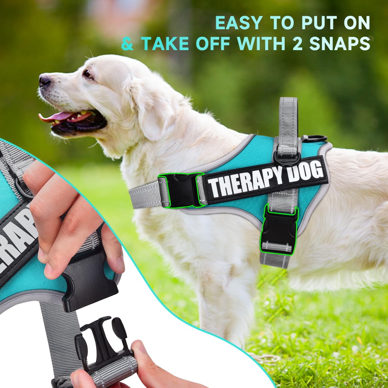 Animire arnés Teal XS, vista lateral, ajuste cómodo para entrenamiento diario.