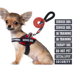 Animire arnés de entrenamiento para perro con parches personalizables para identificación.