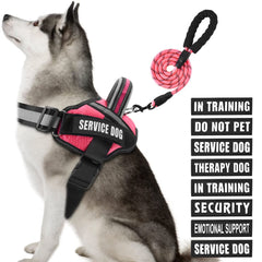 Arnés Animire para perro en entrenamiento, versión Rosy XL, cómodo y ajustable.