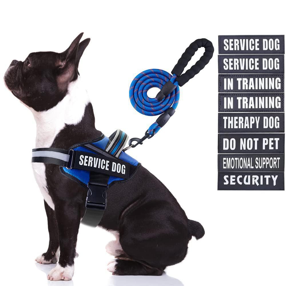 Arnés Animire para perro con parches brillantes, ideal para entrenar y comunicar estado.