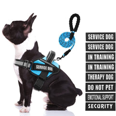 Arnés Animire para perro de servicio mediano, azul claro, cómodo y visible