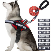 Animire arnés de servicio con parches para entrenamiento diario.