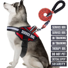 Animire arnés de servicio con parches para entrenamiento diario.