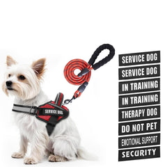Animire arnés de servicio con parches para entrenamiento y seguridad.