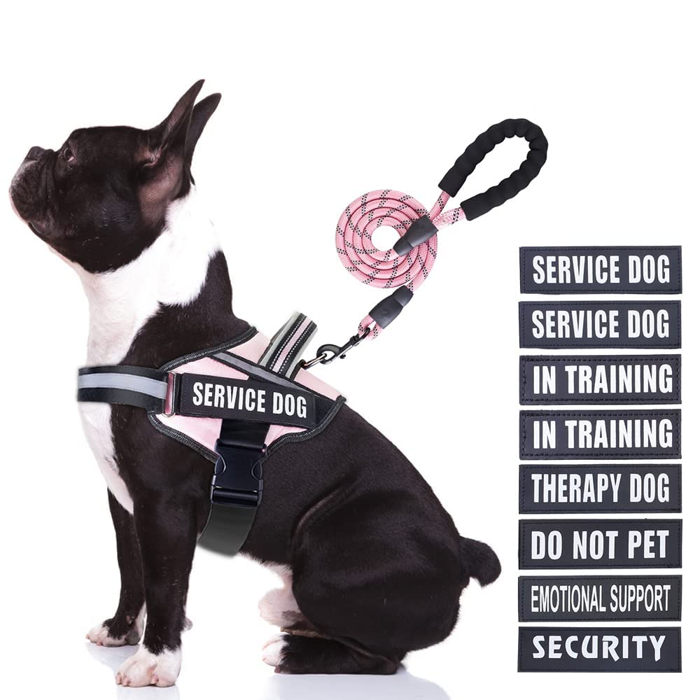 Animire arnés de servicio para perro en uso, comodidad y control diario.