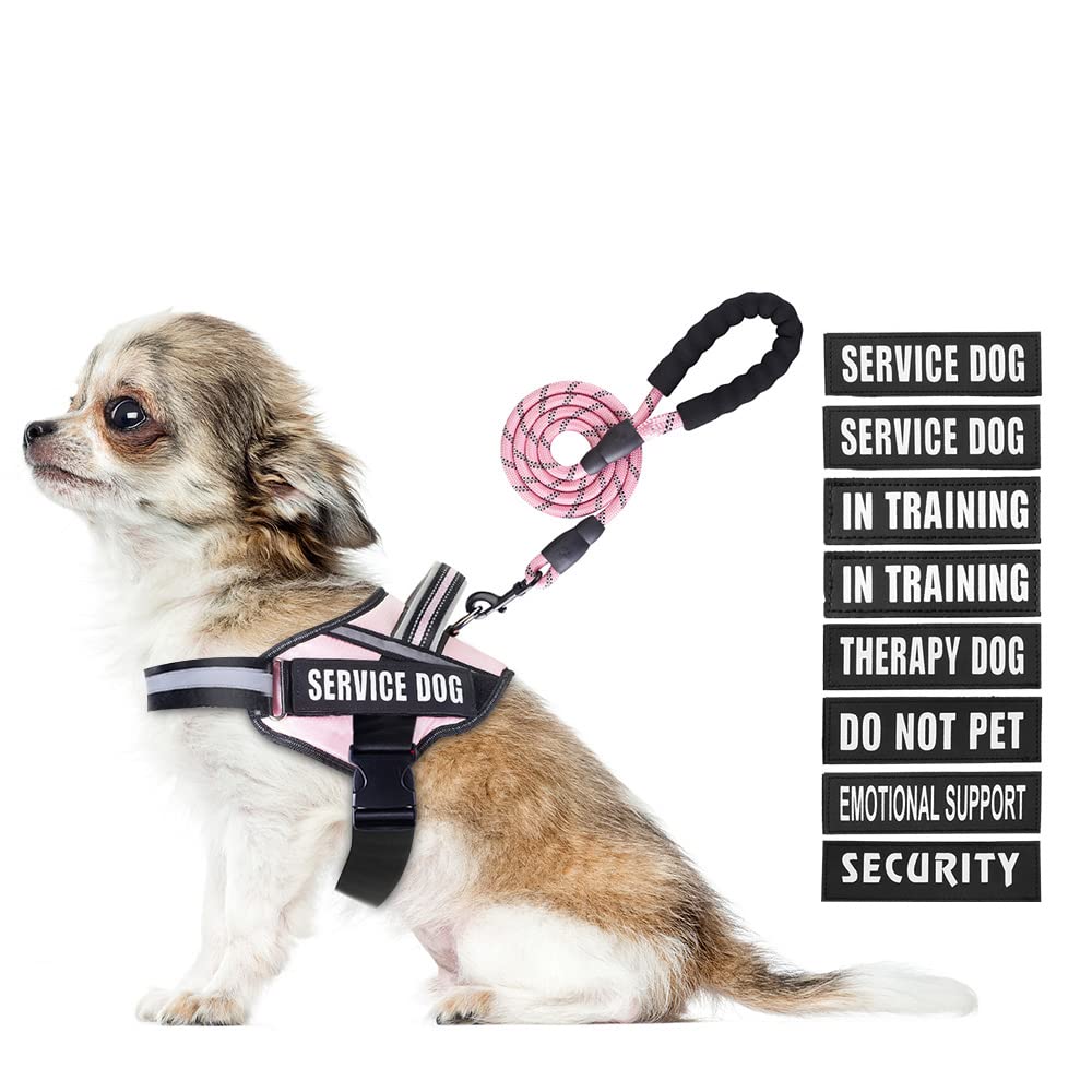 Animire arnés de servicio para perros, enfoque en entrenamiento, rosa, talla XS.