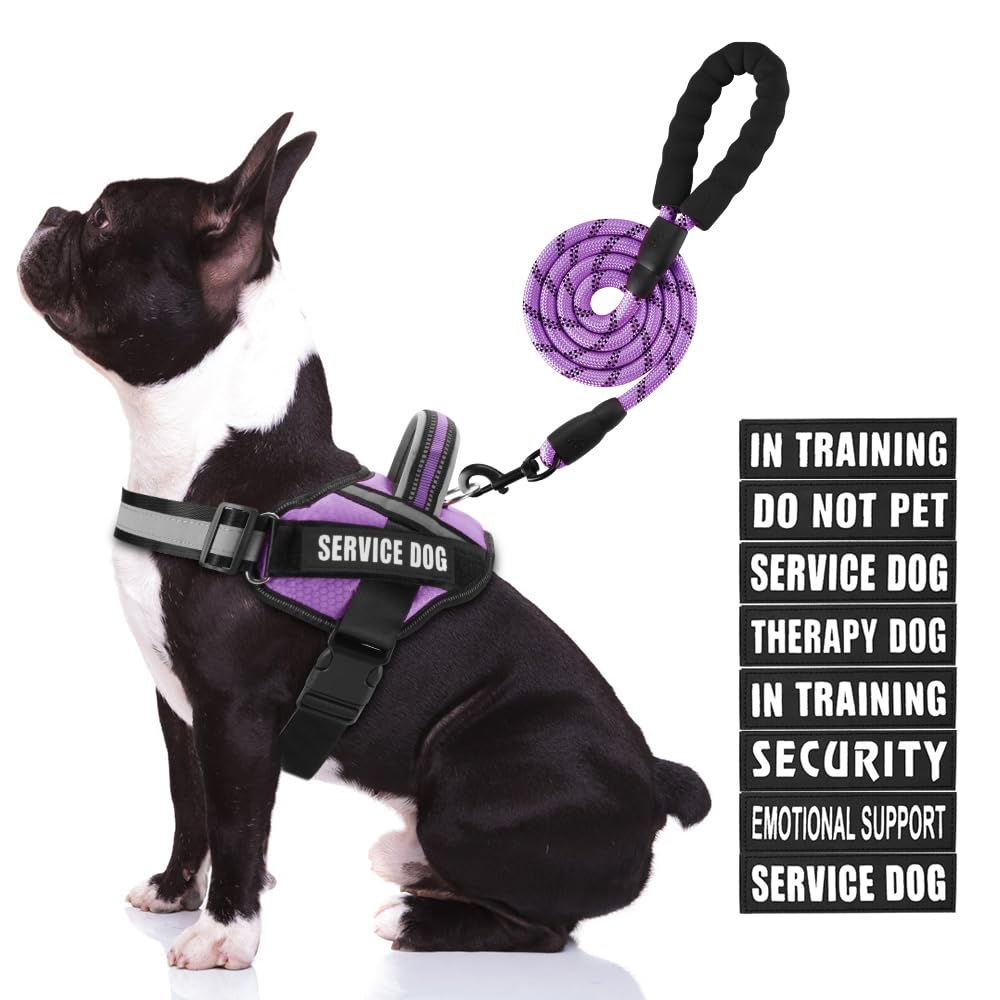 Animire arnés de servicio para perro en entrenamiento, cómodo y ajustable para uso diario.