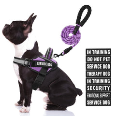 Animire arnés de servicio para perro en entrenamiento, cómodo y ajustable para uso diario.