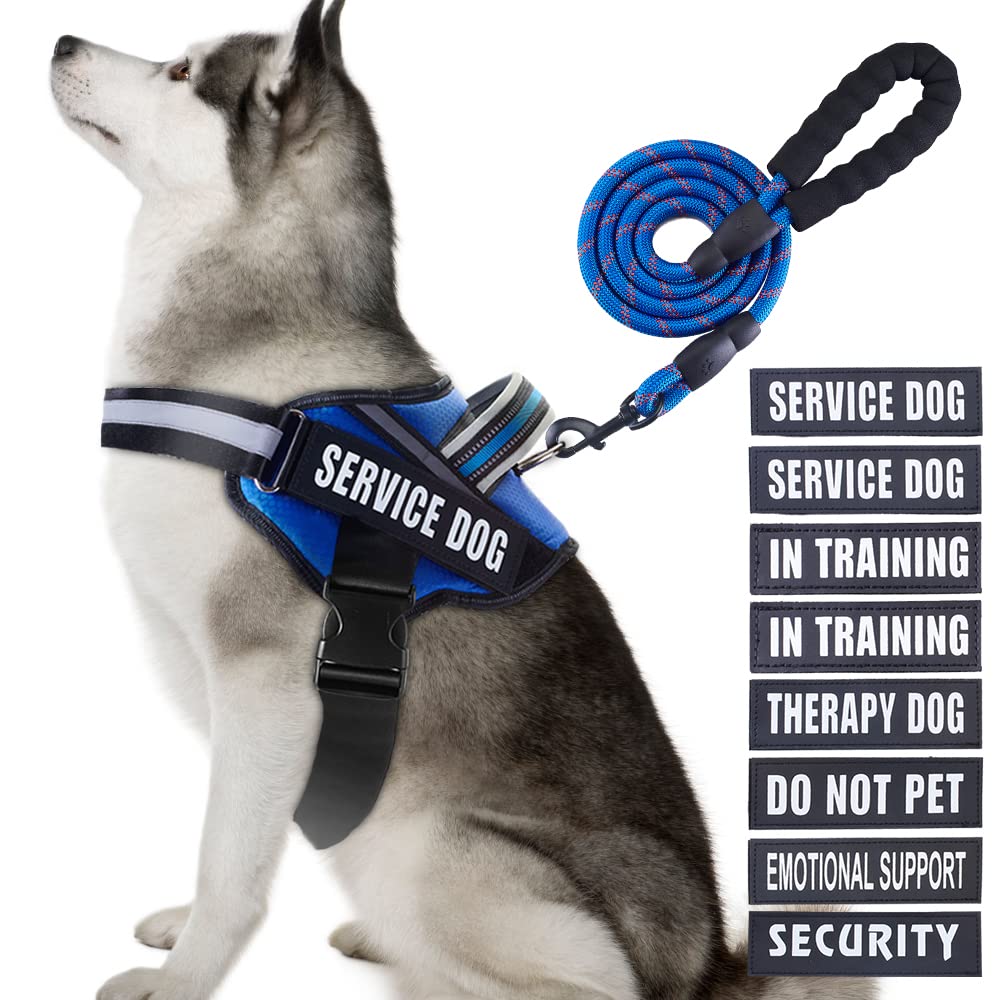 Animire arnés de servicio para perro con parches: señalización clara durante entrenamiento.