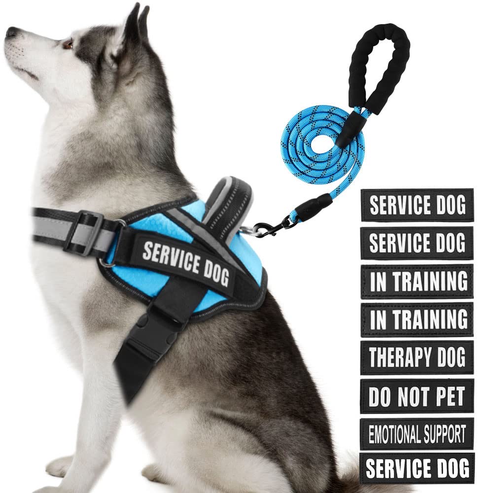 Animire arnés de servicio con parches para entrenamiento y señalización.