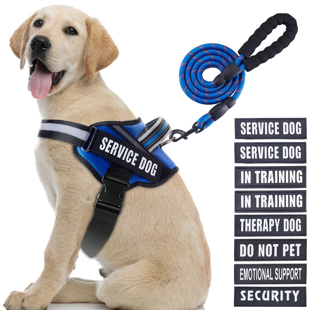 Animire arnés para servicio con parches para entrenamiento y señalización.