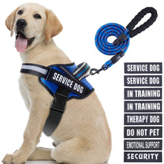 Animire arnés para servicio con parches para entrenamiento y señalización.
