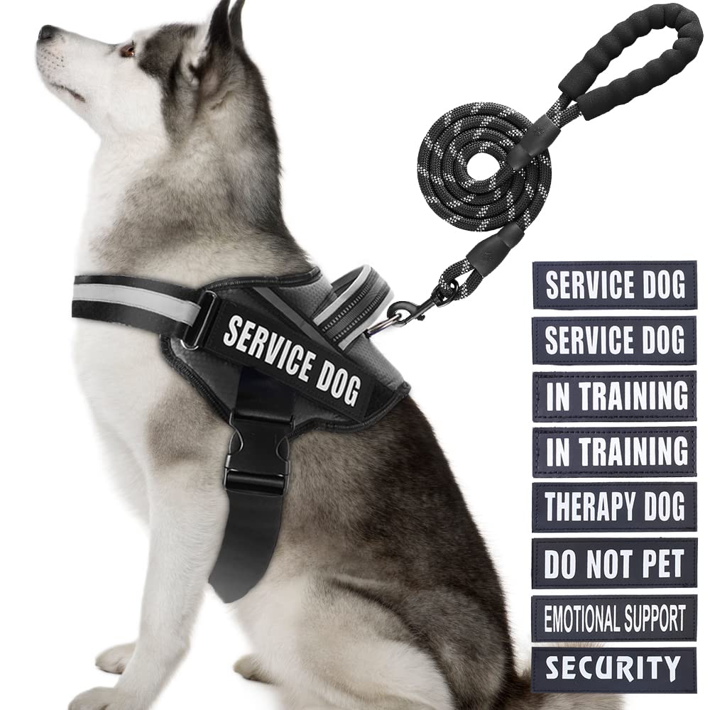 Animire arnés-servicio-perro: arnés cómodo para uso diario y entrenamiento.